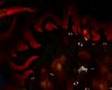 Alucard and Seras
