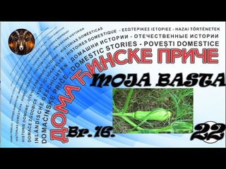 ANALIZA BILJAKA U MESECU JULU    ANALYSIS OF PLANTS IN THE MONTH OF JULY