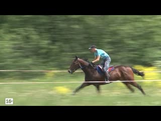 Скачки на Сабантуе - 2016