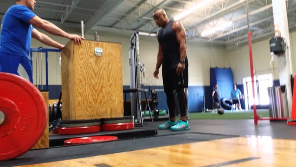 Everson Griffen Vikings D End At