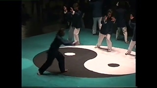 Taichi chuan style Tung Dйmonstration le Tungjia et Yangjia en partie