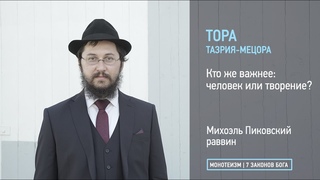 Тора: Глава ТАЗРИЯ-МЕЦОРА. Кто же важнее: человек или творение