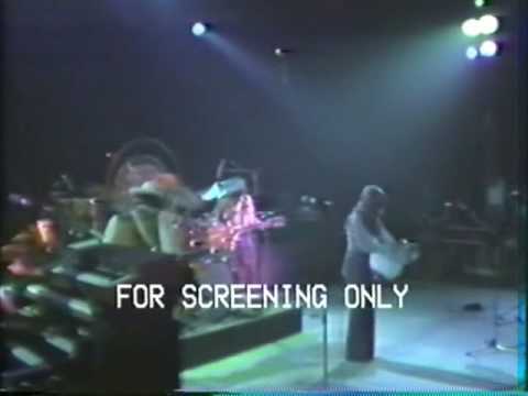 Fleetwood Mac Green