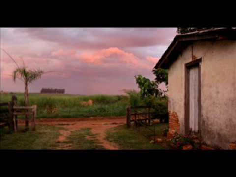 Chico Amado e Xodo Música