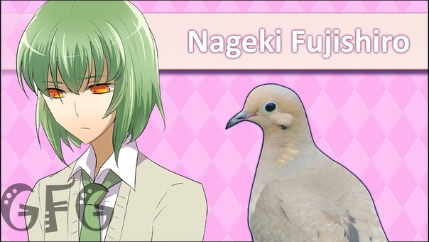 Прохождение Hatoful Boyfriend 3 Fujishiro