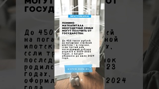 Помимо маткапитала многодетные семьи могут получить от государства субсидии