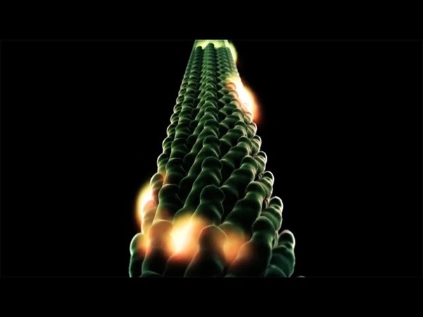 Engineering viruses to produce enhanced