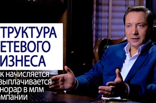 СТРУКТУРА СЕТЕВОГО БИЗНЕСА как начисляется и выплачивается гонорар в млм компании Роман Василенко