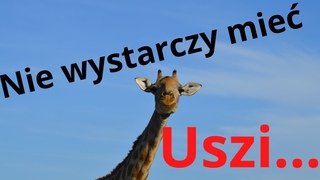 Nie wystarczy mieć USZI, trzeba jeszcze rozumieć...