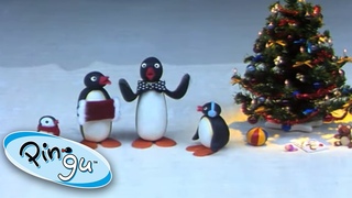 Pingu’s Family Celebrate Christmas 🎄 Pingu | Cartoons for Kids