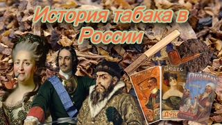 Краткая история табака в дореволюционной России