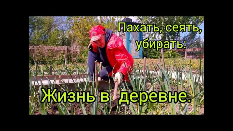 ДЕРЕВЕНСКАЯ ЖИЗНЬ: ПАШЕМ МОТОБЛОКОМ и заботимся о нашем