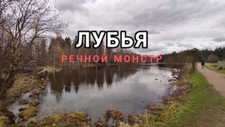 РЕКА ЛУБЬЯ 2024 | РЕБЯТА ПОЙМАЛИ КРОКОДИЛА | Я И НЕ ДУМАЛ ЧТО ЕСТЬ ТАКИЕ ТУТ ЩУКИ МОСТРЫ