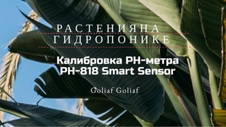 Калибровка #PH-метр #PH818 Smart Sensor