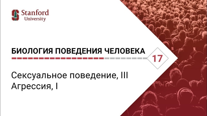 Биология поведения человека: Лекция, 17. Сексуальное