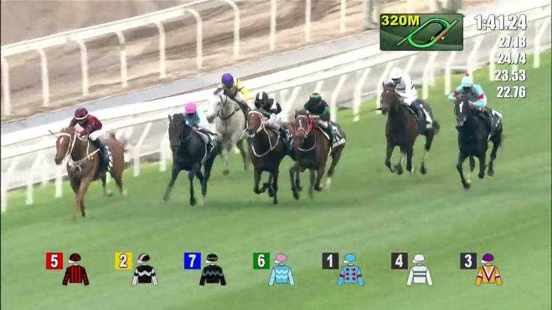 FWD Champions Day 2021 FWD QEII Cup 2021 Race