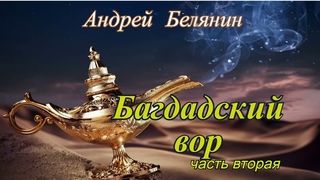 Андрей Белянин.Багдадский вор