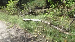 Виктор Безгодков. Есть надежда, что будет всё хорошо.