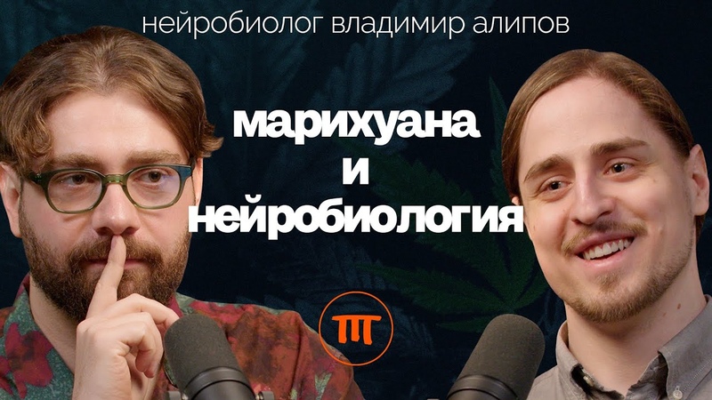 Каннабис, Конопля, Марихуана: вокруг чего столько споров