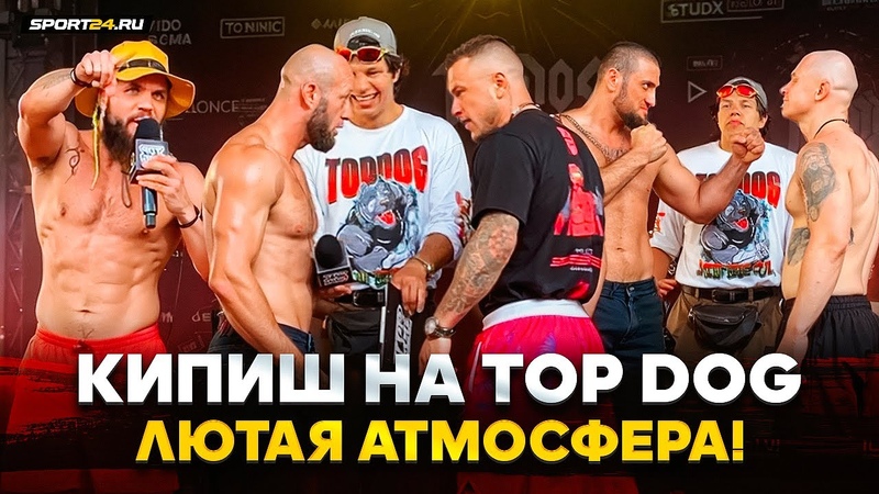 ОГОНЬ НА TOP DOG Халидов VS Фомич, Шиша VS Тандовский, РЕГБИСТ