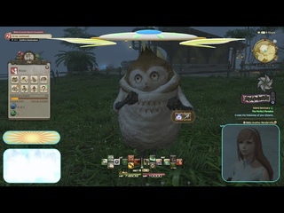 Island Sanctuary Rare Animals (Paissa)