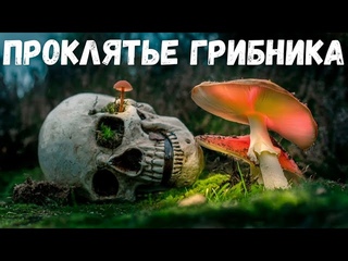Страшная история. Проклятье грибника.