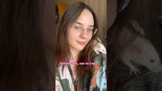 Противные или милые? 🥰 #крысы #крыса #животные #питомцы #грызуны