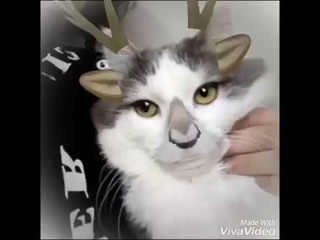 У меня трусы в горошек.