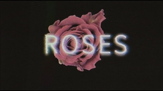 Soleima - Roses [Official Lyric Video]