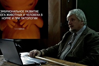 Лекция “Эмбриональное развитие мозга“ Сергей Савельев