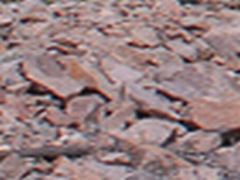 co71_animas_canyon_09