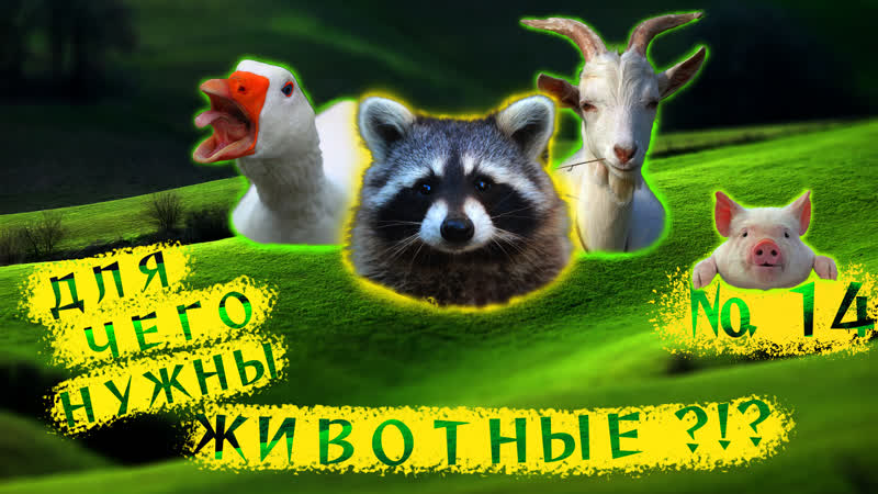Я понял для чего НУЖНЫ ЖИВОТНЫЕ