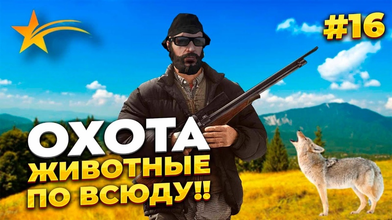 НОВИЧОК НА GTA 5 RP С НУЛЯ, 25К ЗА 15 МИН НА ОХОТЕ, ОТМАТАЛ СРОК В
