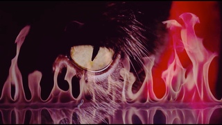JOHNNY JEWEL WINDSWEPT (Official Video)