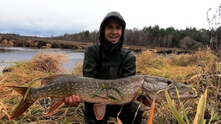 ДВА ТРОФЕЯ Осени🎣 Крупные щуки малой реки! Рыбалка на спиннинг, ловля в 2021