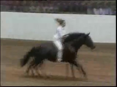 Bareback riding WITHOUT reins performed by Stacy