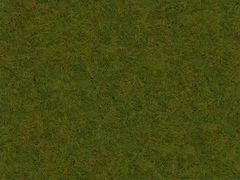 VSZD grass green dark