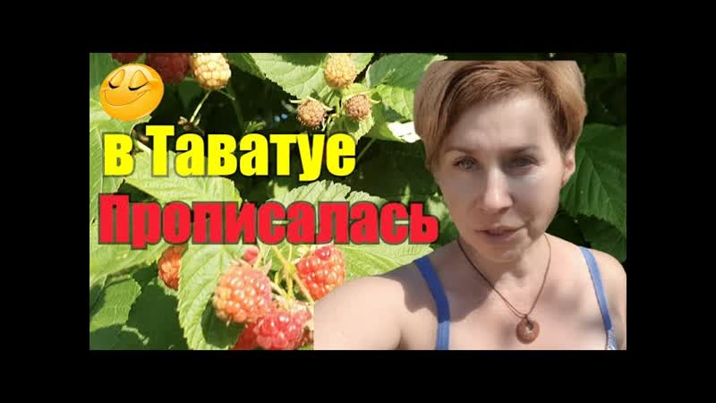 Старею или не воспитана, ,Клиенты раздеты по пояс, ,Голубята
