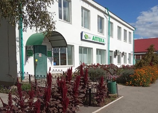 Центр занятости батырево. Государственное казенное учреждение "центр занятости населения. Заводоуковск центр. Ялуторовск центр. Центр занятости шелехов.