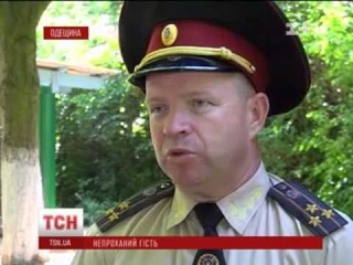 куница ТСН