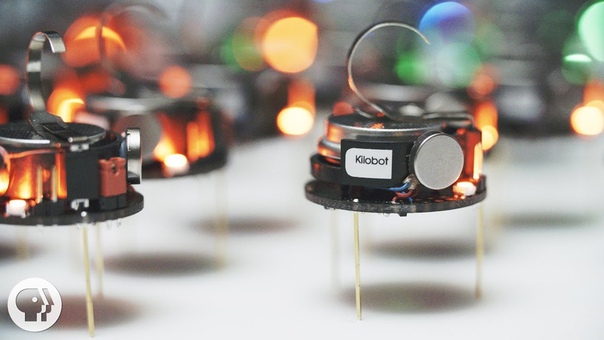 Can A Thousand Tiny Swarming Robots Outsmart Nature , Deep