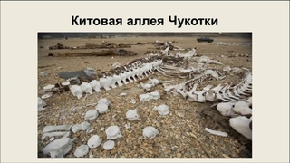 Медиабеседа Загадки планеты: таинственные места России