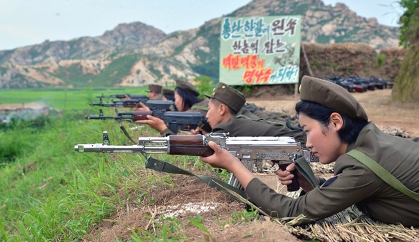 Type 88 ak. Type 88 автомат северной кореи. Type 68 автомат. китайский солдат с qbz. Korea type.