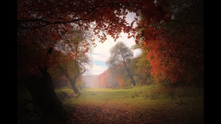 Ferenc Liszt.  The first autumn leaf. Ференц Лист. Першій осінній лист.