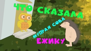 Милый Ежик и мудрая Сова/Чем помочь Ежику мудрой Сове/Смешной мультфильм от Заяц Волк TV.