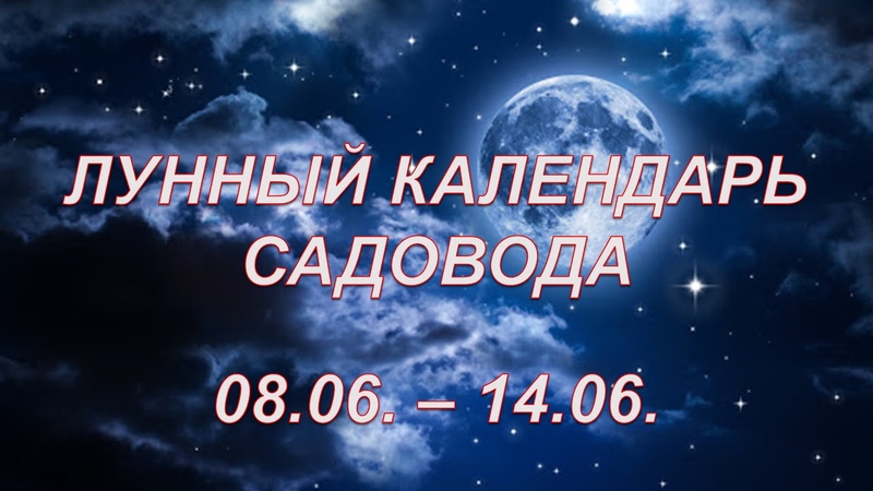 ЛУННЫЙ КАЛЕНДАРЬ САДОВОДА С 8 ПО 14 ИЮНЯ