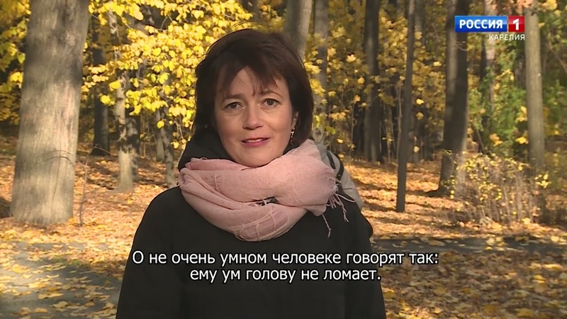 Armas sana.