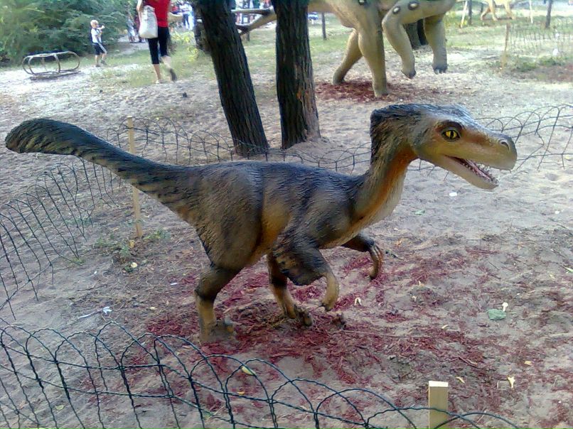 Вова Гуков | Донецк