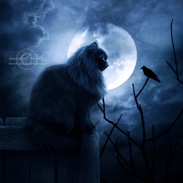 Александра Мартынова Lilu | Москва