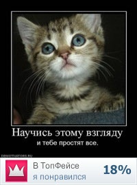 №7, Игорь Пиров, Вологда №7, Игорь Пиров, Вологда